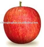EXPORT Red Fuji  Apple in 18kg/ctn