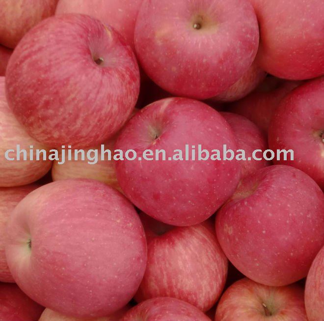 Low Price and Best Selling Products - 2010 new crop Sweet Fresh Yantai Red Fuji Apple for Sale