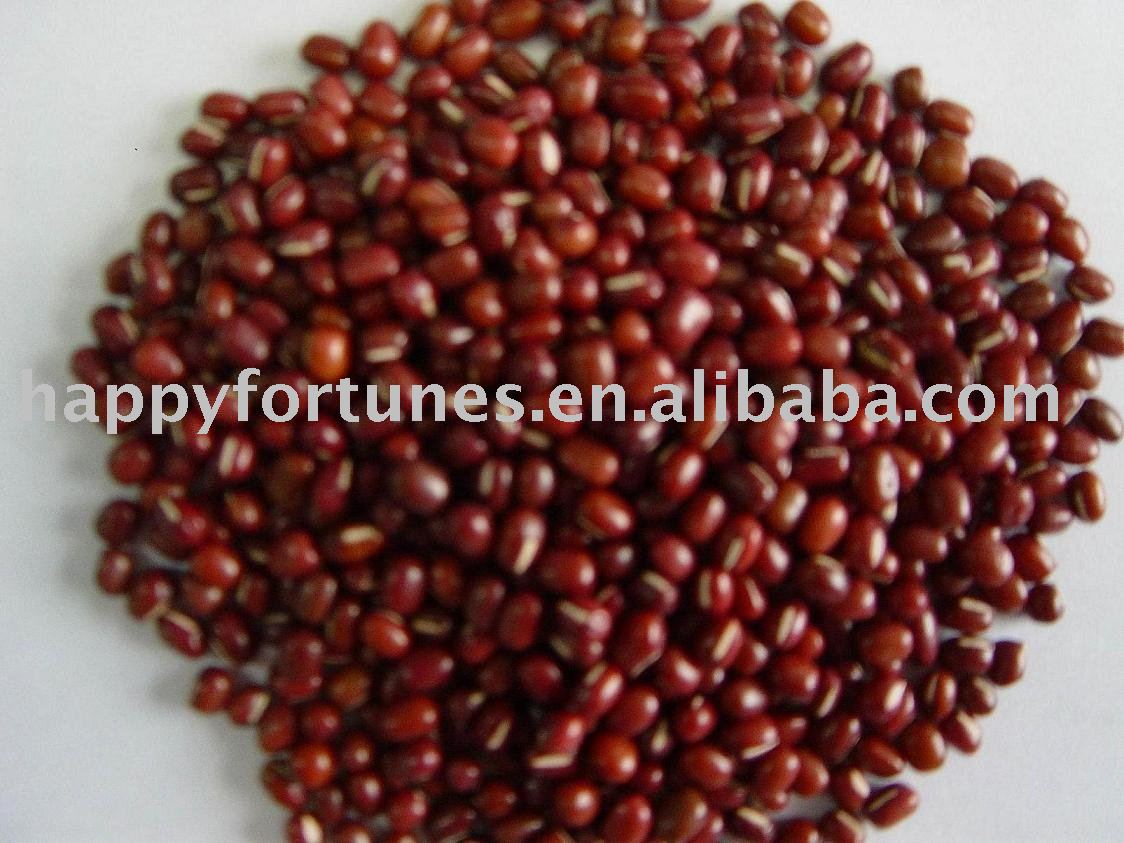 adzuki bean red chouri kidney bean canned bean dongbei bean pulses