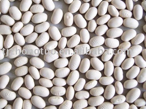 chinese small white kidney beans(japanese type)