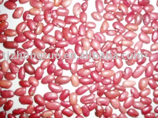  chinese   red   kidney   bean s