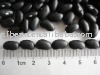 black  Bean