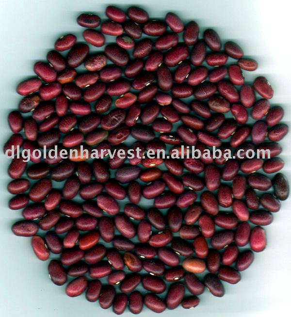 Japanese Red Kidney Beans,Crop 2009