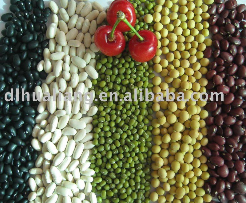 All Kinds of Kidney Beans  new crop 2010