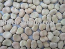 fava beans