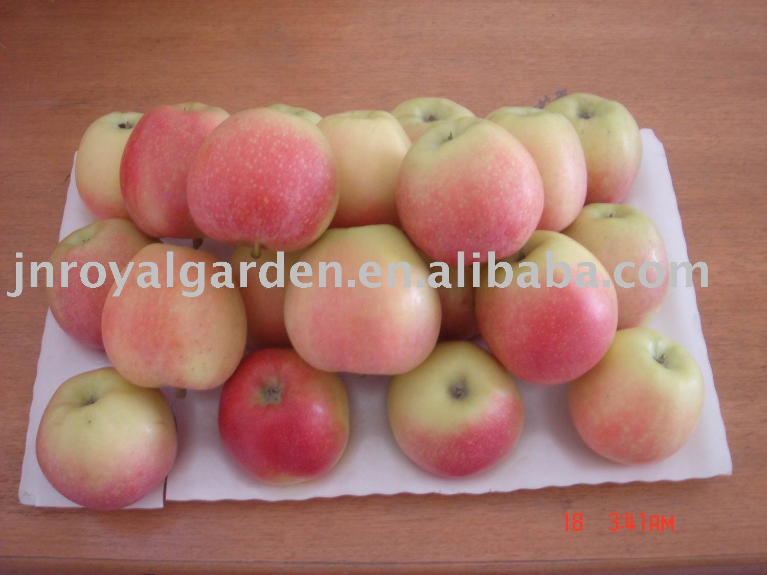 Chinese new crop  gala   apple 