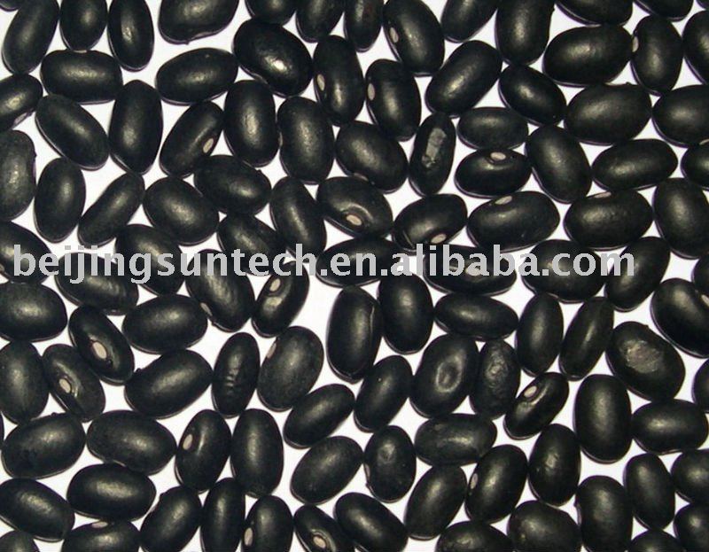 black turtle beans