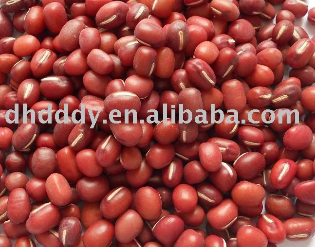 China adzuki bean