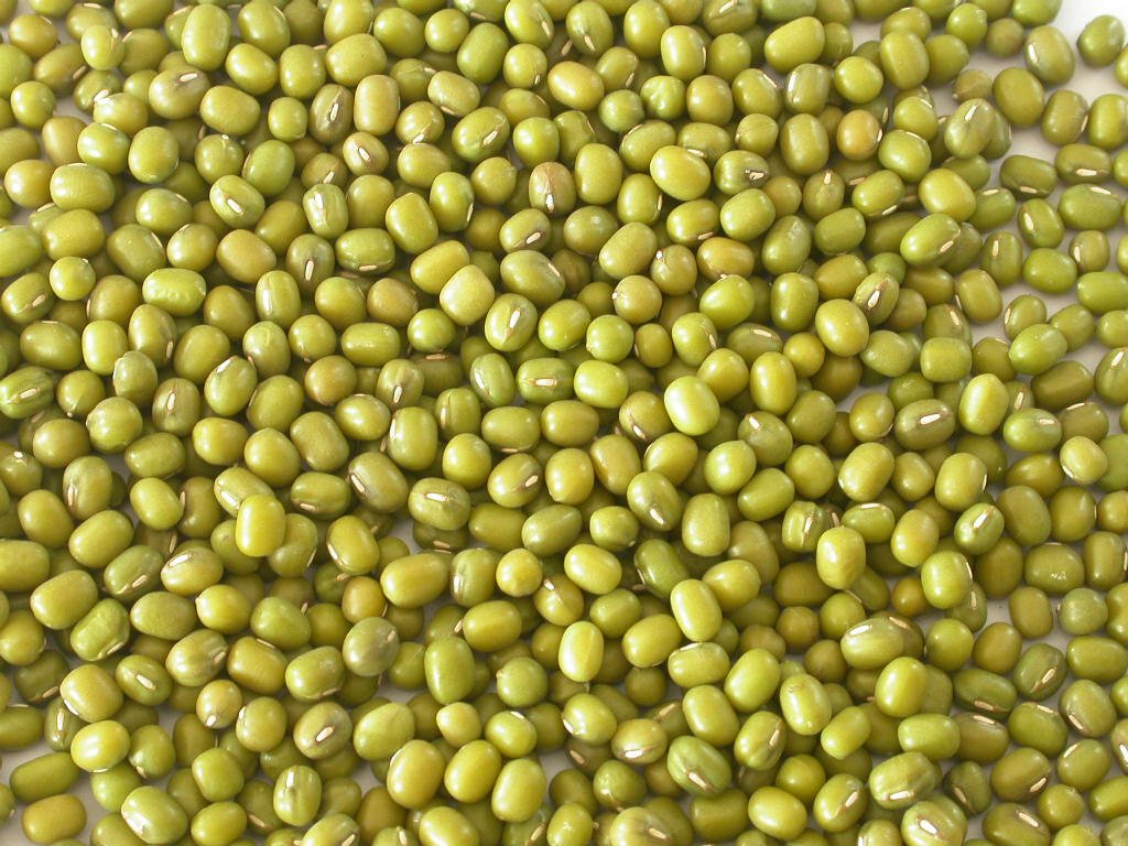 High Quality Green mung beans