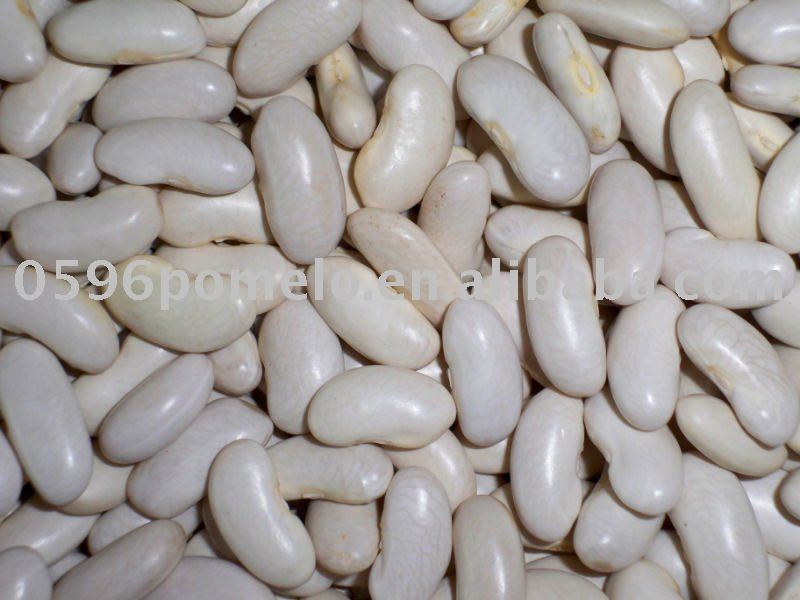 white kidney beans
