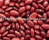 Red Kidney Beans