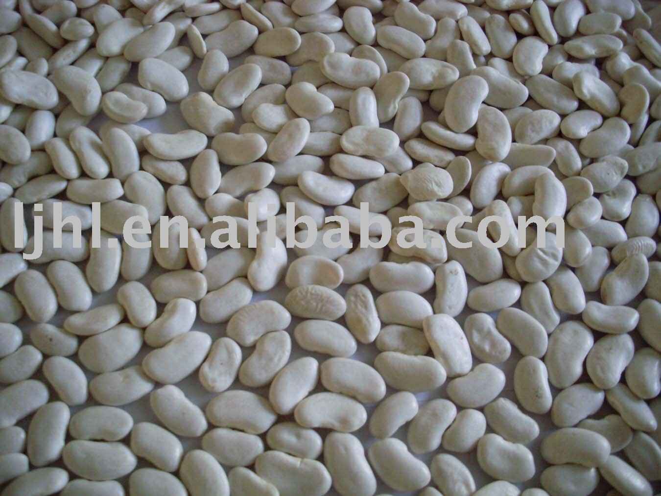 flat white kidney beans