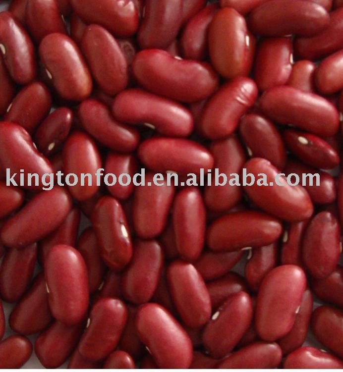British type dark red kidney beans