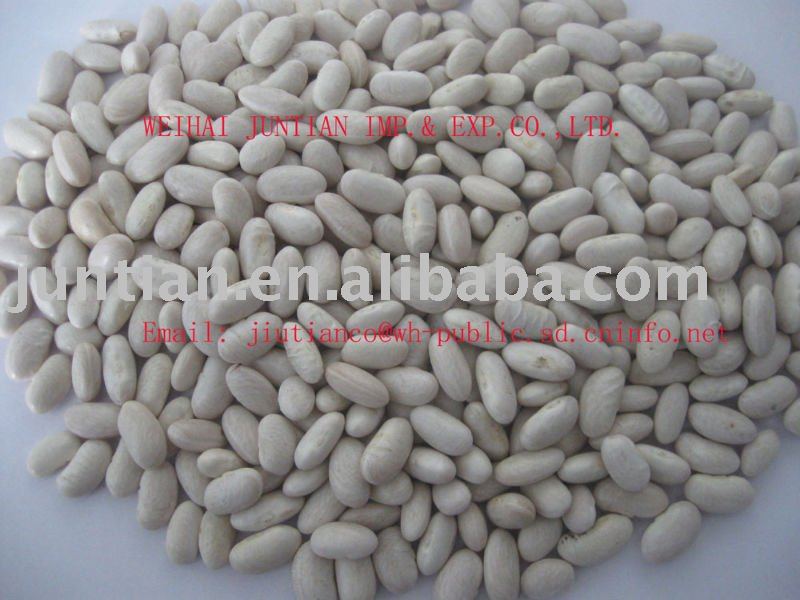 alubia kidney bean