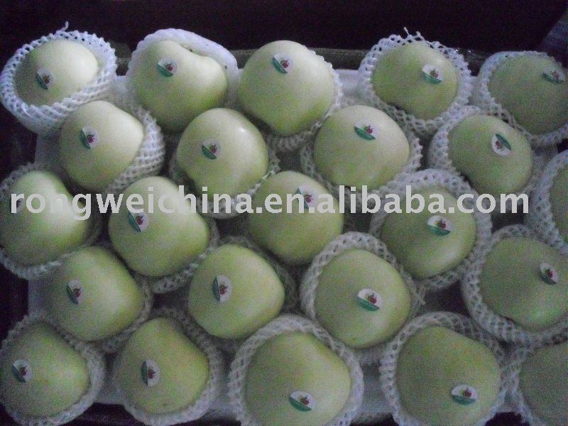 golden delicious apple