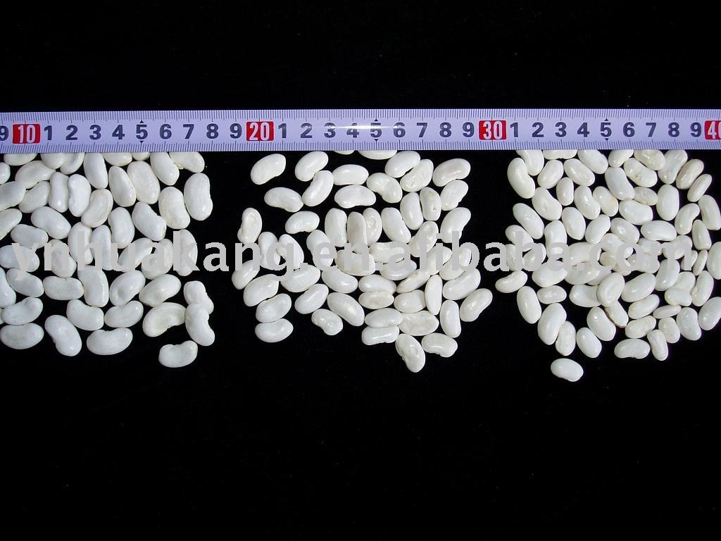 White Kidney Beans (Flat Type)