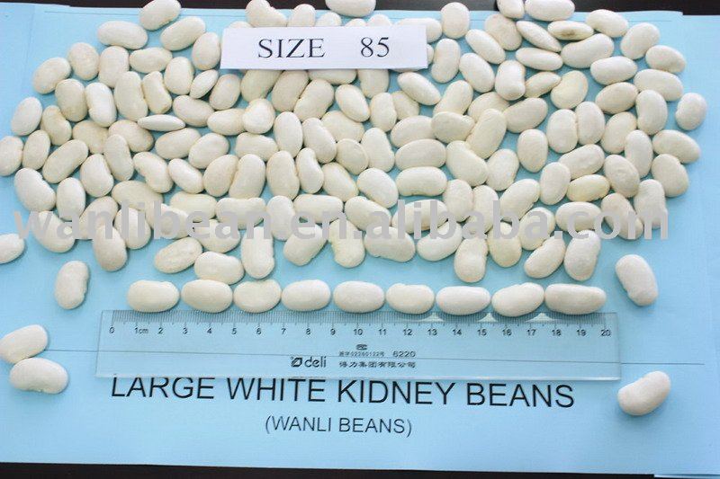 Large White Kidney Beans max.85/100gr