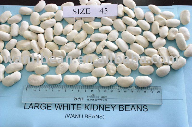 Large White Kidney Beans, max.45/100gr