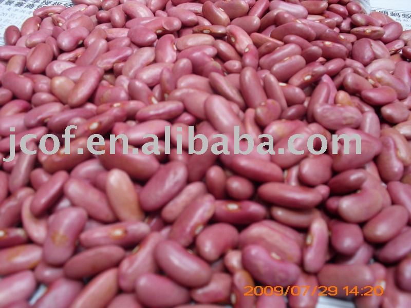 2010 new crop light red kidney beans(712)
