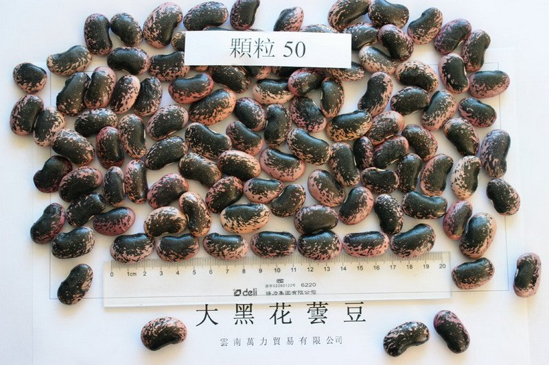 Large Black Speckled Kidney Beans, max. 50/100gr