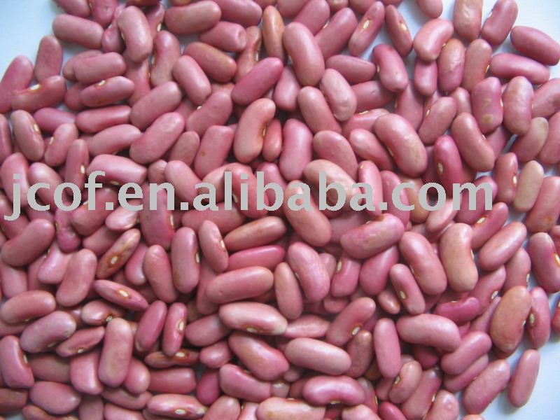 2010 new crop pink kidney beans(712)