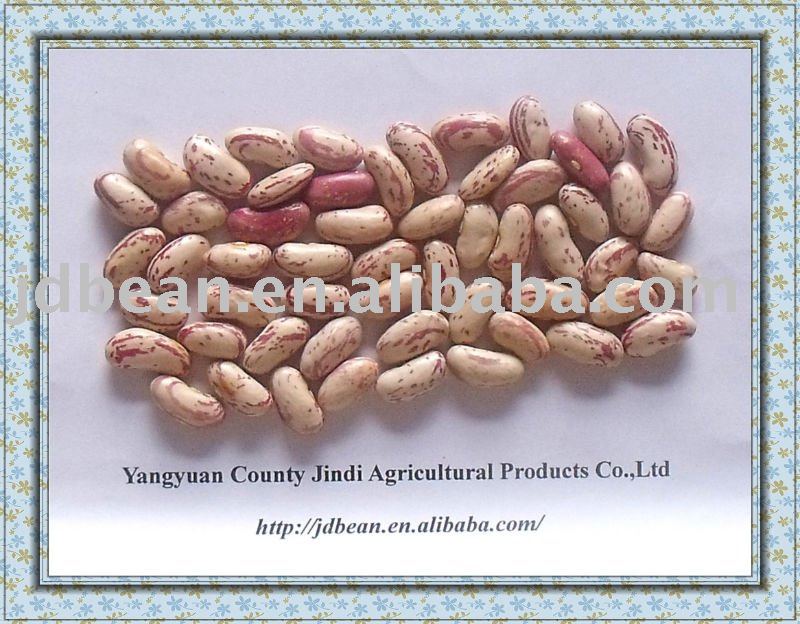 NEW CROP 2010 Light Specked  Kidney beans