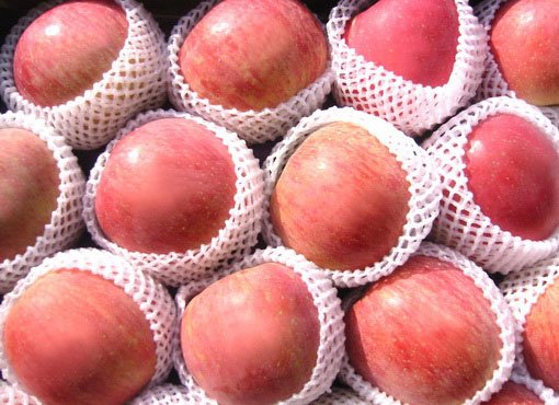 Chinese Fresh Red Fuji Apple