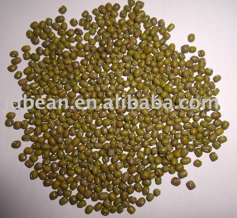 Sprouting  mung beans(2010)
