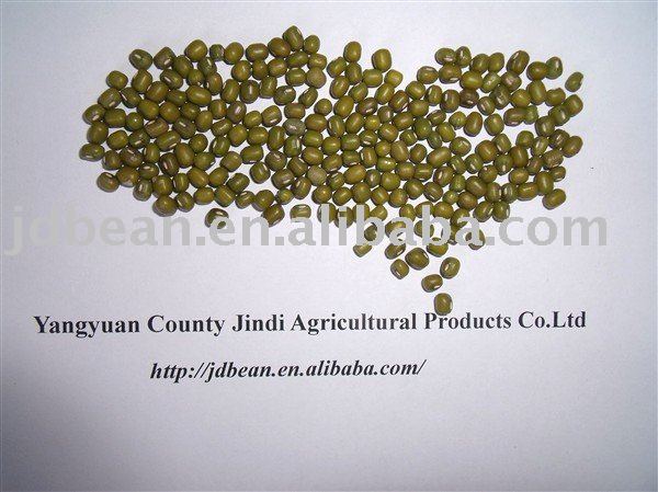  Sprouting    mung   beans (GF3)