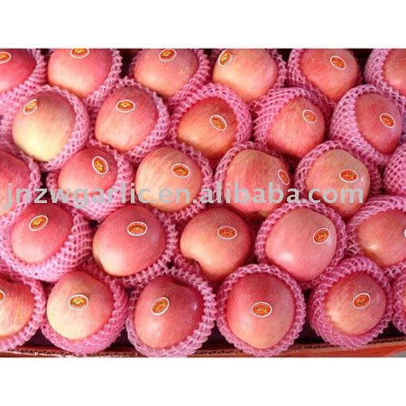 chinese red fuji apple