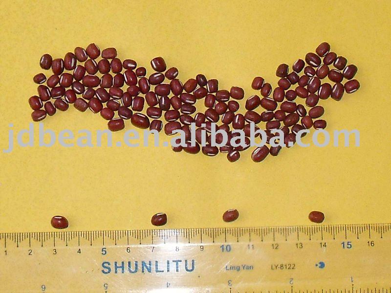 naturally grown Small Red Beans