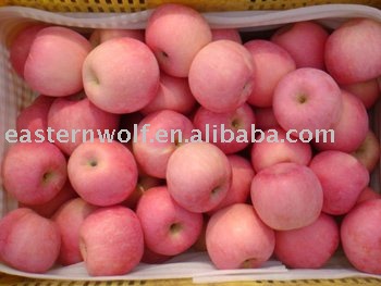 Chinese Fresh Red Fuji Apple in 18KG/Carton Package, MOQ:1*40 FCL