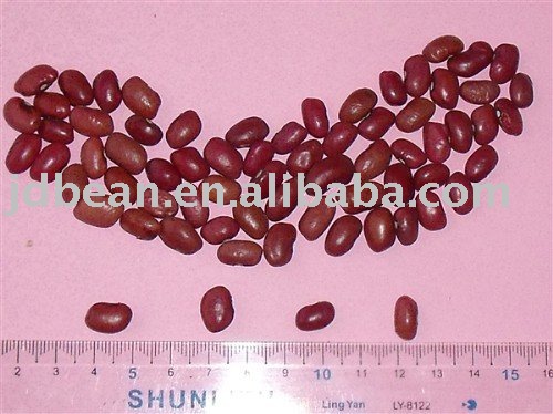 Naturally Grown Small Red Black Kidney Beans