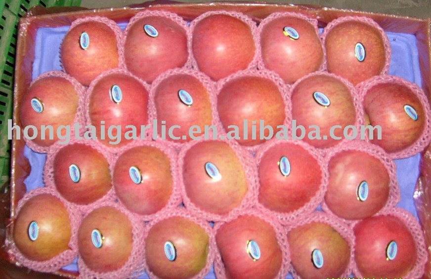 Qinguan Apple
