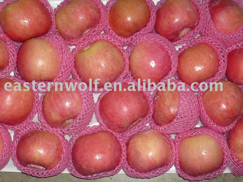 Fresh fuji apple,blush red,MOQ:1*40`FCL
