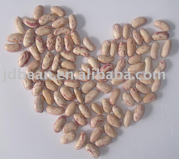 Light Specked  Kidney beans(2010 new crop)