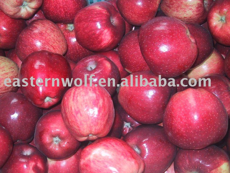 Chinese Fresh Red Huaniu Apple in Carton Package, New Crop