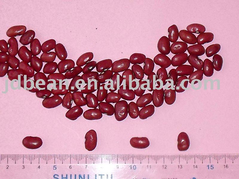  Natural ly Grown Dark  Red  Kidney  bean s