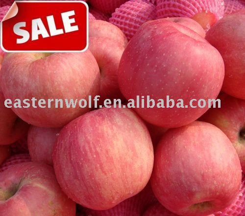 Fresh fuji apple,blush red,top quality!