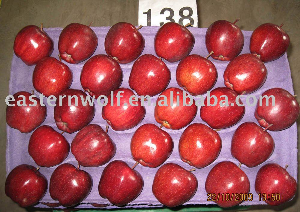 Fresh chinese red delicious apple size:138