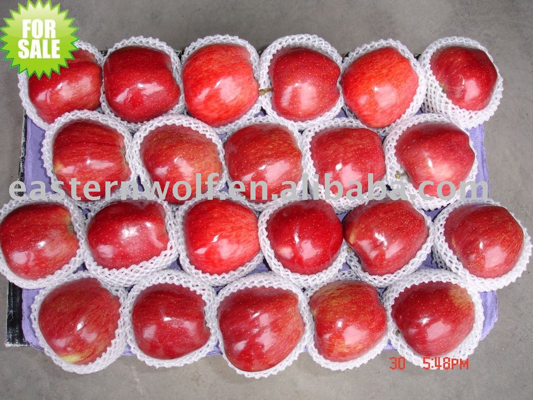 Fresh  red   delicious  apple,size:113.MOQ:1*40`FCL!