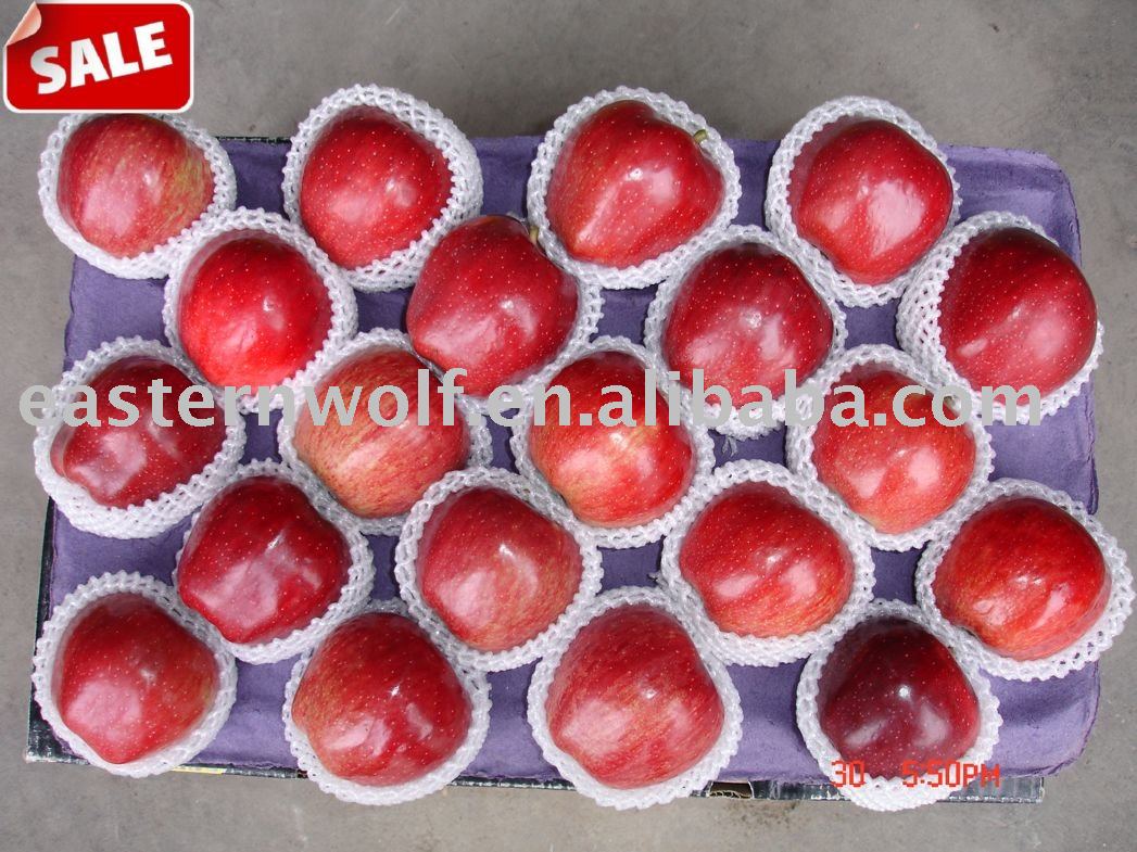 Fresh red delicious apple,size:88.new crop,20kg/ctn,MOQ:1*40`FCL!