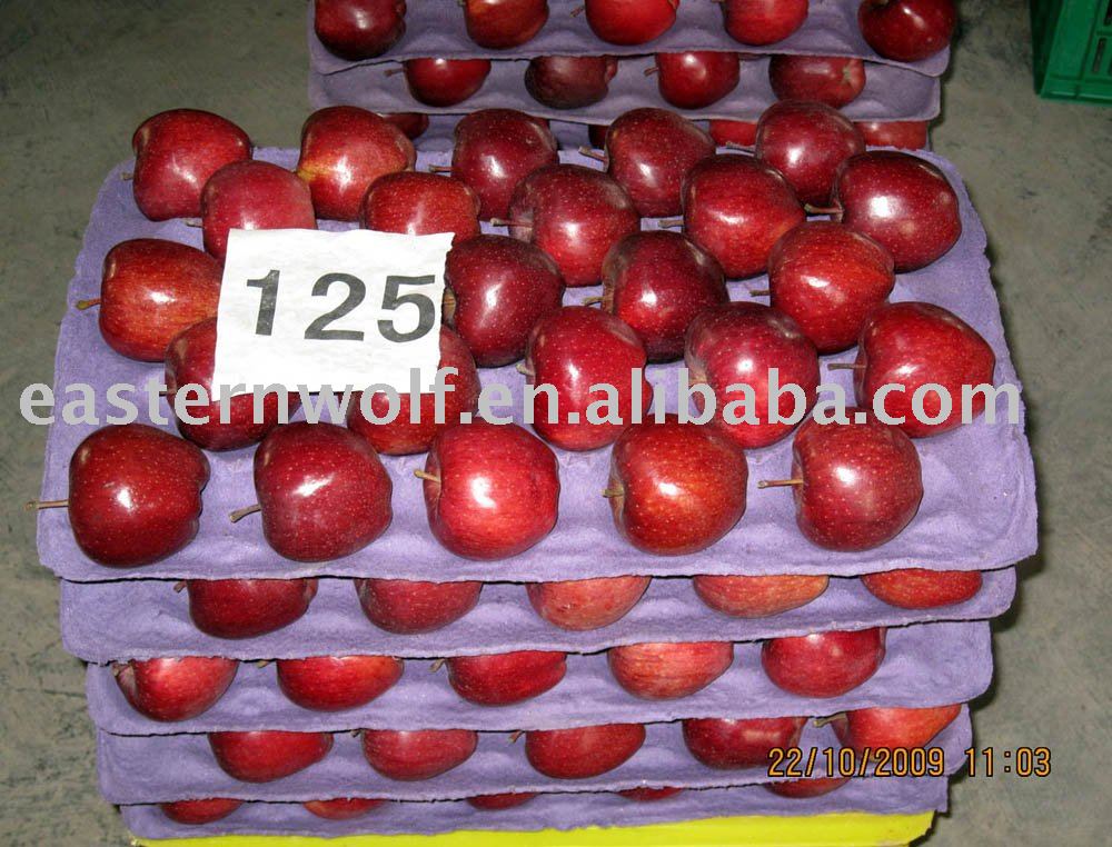 Fresh red delicious apple,size:125,new crop,20kg/ctn,MOQ:1*40`FCL!