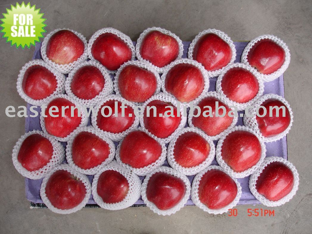 Fresh red delicious apple,size:100.MOQ:1*40`FCL!
