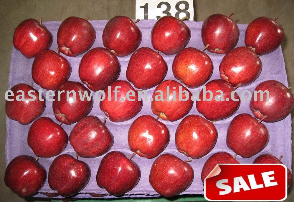 Fresh red delicious apple,size:138.taste sweet.MOQ:1*40`FCL!