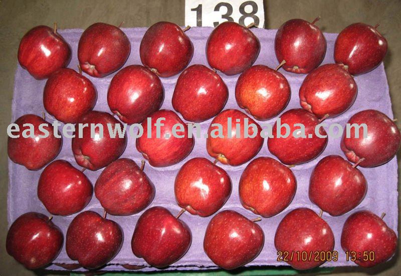 Fresh red delicious apple,size:138,new crop,20kg/ctn,MOQ:1*40`FCL!
