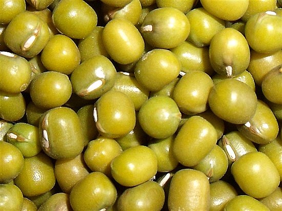 High Quality Green mung beans