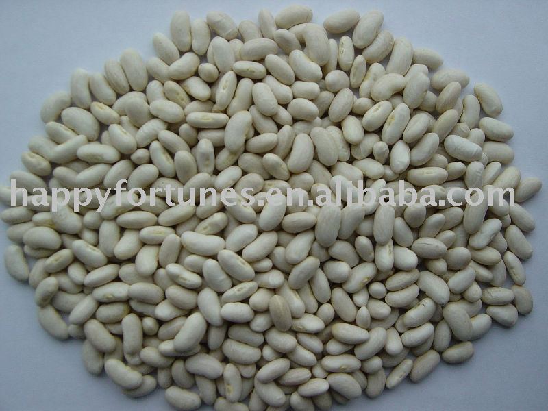 kidney bean white bean canned bean white kidney bean dongbei bean pulses