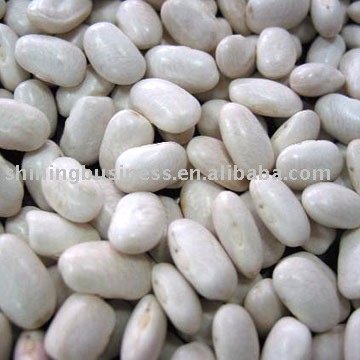 White Kidney Beans