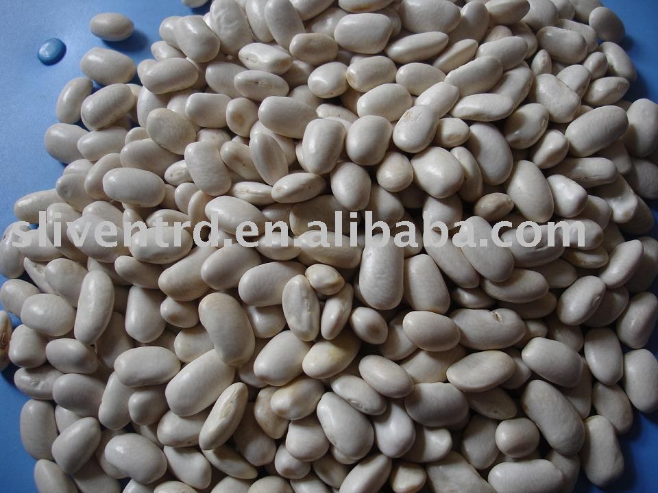 Medium White beans